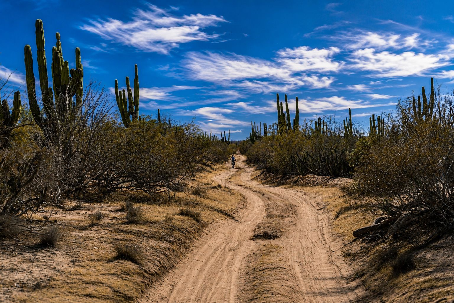 Baja Divide Bikepacking
